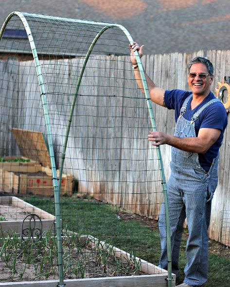 Pvc Pipe Greenhouse Diy, Pvc Garden Trellis, Pvc Arch Diy, Pvc Pipe Garden Ideas, Squash Arch, Squash Trellis, Garden Arch Trellis, Vertical Vegetable Gardens, Winter Vegetables Gardening