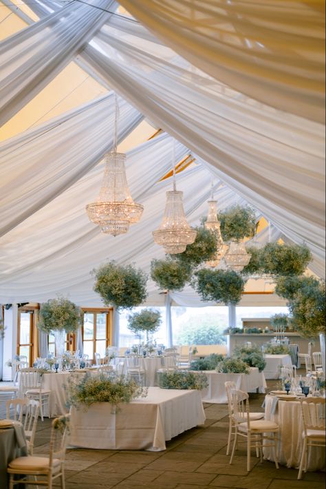 Wedding Reception Alternatives, Wedding Tent Draping, Ceiling Draping Wedding, Gala Planning, Midsummers Night, Marquee Decoration, Hanging Florals, Wedding Event Space, Wedding Drapery