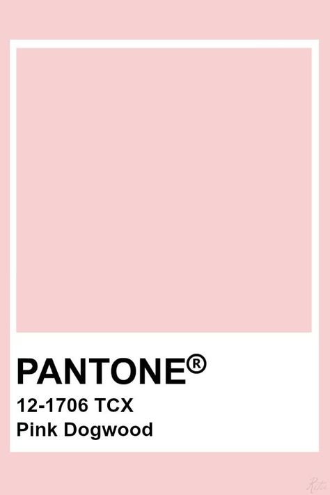 2019-2020 Spring Summer "Open Mind" Pink Dogwood Pale Pink Pantone, Libra Colors, Maternity Background, Pantone Rose, Pantone Tcx, Pantone Color Chart, Pantone Swatches, Pantone Palette, Modern Kitchen Design Ideas