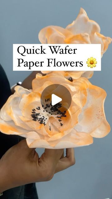 Wedding Cake Wafer Paper Flowers, Wafer Flowers Tutorial, How To Make Wafer Paper Flowers, Rice Paper Flowers Cake, Rice Paper Flowers Tutorial, Rice Paper Decorated Cakes, Wafer Paper Flowers Tutorial, Wafer Paper Cake Decoration, Rice Paper Flowers