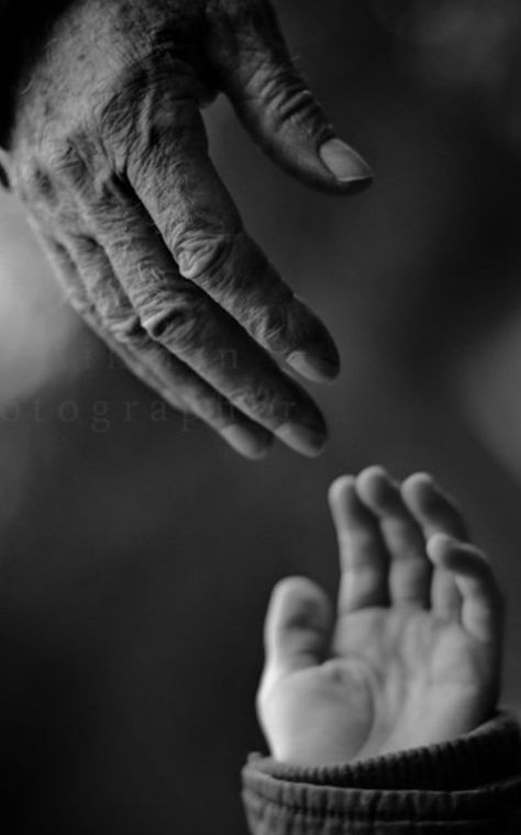 Hand Photography, Louise Bourgeois, Hand Reference, Ideas Photography, White Hands, Hold My Hand, Foto Art, Black N White Images, Simple Words