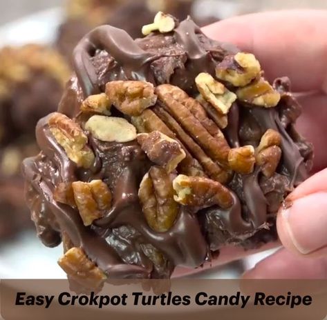 A plate of homemade Crockpot Turtles candy with pecans, caramel and chocolate Crockpot Turtles, Crockpot Candy Recipes, Turtles Candy, Slow Roasted Italian, Pecan Turtles, Crockpot Candy, Healthy Dessert Recipes Easy, Chocolate Turtles, The Slow Roasted Italian