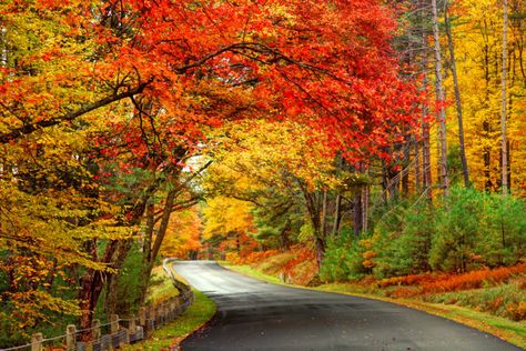 Hop In Your Car And Take The Central Hills Loop For A Wonderful 57-Mile Scenic Drive In Massachusetts Fall Foliage Road Trips, Congaree National Park, Scenic Railroads, Leaf Peeping, New England Fall, Scenic Byway, Appalachian Trail, Fall Travel, Road Trip Fun