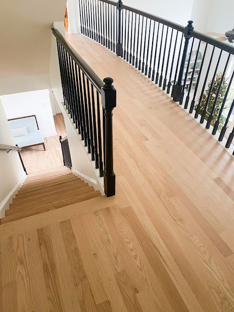 Natural Red Oak Hardwood Floors, Red Oak Hardwood Floors Stains, Oak Hardwood Floors Colors, Red Oak Wood Floors, Hardwood Floor Stain Colors, Oak Floor Stains, Floor Stain Colors, Wood Floor Stain Colors, Oak Hardwood Floors