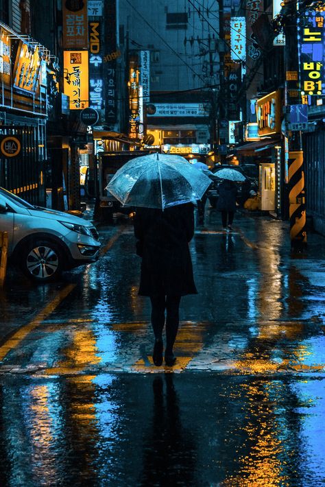 City Rain, Umbrella Photography, Road Painting, Clear Umbrella, Standing In The Rain, Rainy City, Night Rain, Street Painting, Rainy Night