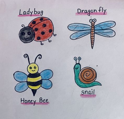 Easy to draw insects Draw Insects, Bugs Drawing, English Grammar Exercises, Easy Art For Kids, Grammar Exercises, Easy To Draw, Painted Rocks Diy, Easy Art, Book Party