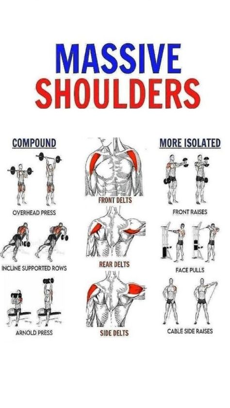 Shoulder Gym, Workouts Routines, Shoulder Workout Routine, Shoulder Exercise, Best Shoulder Workout, Workout Gym Routine, Gym Workout Planner, Bodybuilding Workout Plan, Gym Workout Chart