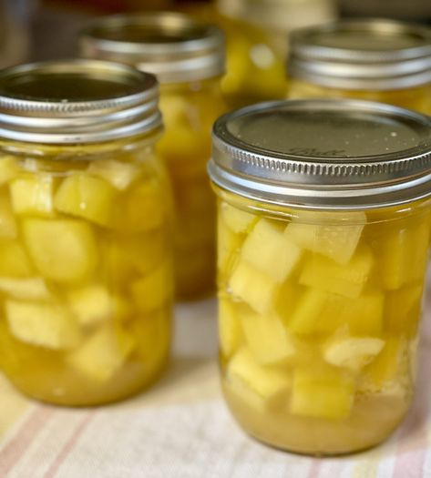 The BEST Pineapple Zucchini Recipe! Pineapple Zucchini Canning Recipe, Zucchini Mock Pineapple, Can Zucchini Be Canned, Canning With Zucchini, Canning Mock Pineapple, Canned Pineapple Zucchini, Canned Zucchini Pineapple, Pineapple Mock From Zucchini, Mock Pineapple Using Zucchini