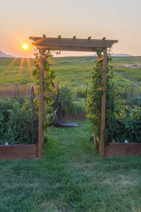 10 Easy DIY Garden Arbor & Arch Ideas Raised Garden Ideas, Zuppa Toscana Soup Olive Garden, Wooden Arbor, Beautiful Home Gardens, Garden Arbor, Garden Entrance, Slumping, Garden Features, Easy Garden