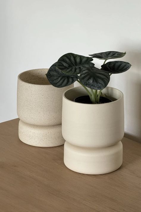 CREAM PEDESTAL PLANTER BY KLEI CERAMICS – INK + PORCELAIN Fimo, High Desert Landscaping, Pedestal Planter, Space House, Pottery Plant Pot, Tiered Planter, A Modern House, Handmade Ceramic Planters, Therapy Office Decor