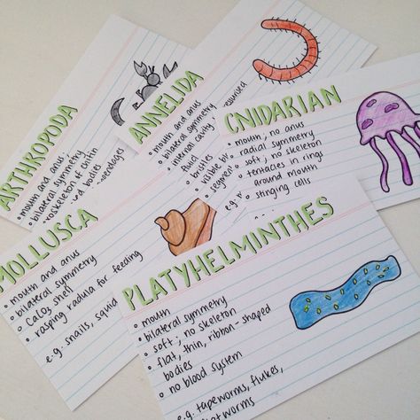 10 / 100 days of productivity | 05.08.16Some flashcards I made for the classification of plant and animal phyla (Biology Topic 5.3)! Topic 5 is the most difficult for me to remember, but making... Biology Flashcards For Neet, Aesthetic Topic Ideas For Notes, Flash Cards Biology, Flashcards Aesthetic Ideas Biology, Ideas For Flashcards, Aesthetic Notes Making Ideas, Flashcards For Neet, Notes Making Ideas Biology, Flash Cards Ideas Study Science