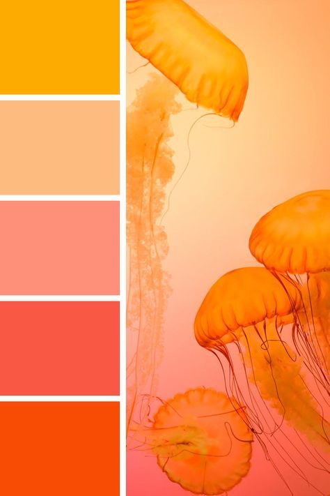 Warm Bright Color Palette, Color Palette Orange, Orange Colour Palette, Bright Colour Palette, Pinky Orange, Orange Color Palette, Sunset Color Palette, Orange Color Palettes, Wallpaper Inspiration