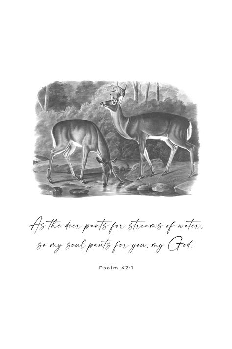 Psalm 23 Quotes, Psalm 42 1, As The Deer, Poster Christian, Psalm 42, Verse Poster, Christian Art Print, Modern Christian Art, Deer Pictures