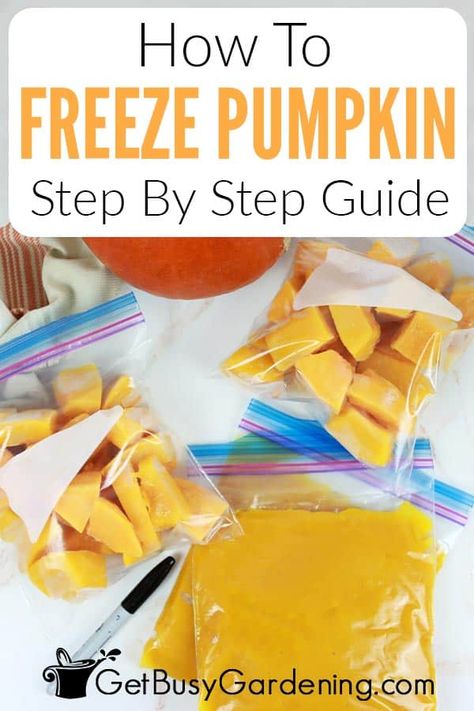 Enjoy fresh pumpkin all season long straight from your freezer! Freezing cubed or pureed pumpkin is a convenient way to store pumpkin for months, allowing you to keep this nutritious and delicious squash on hand for any time you get a craving. Follow my simple step-by-step instructions to freeze pumpkins at home. Preserve Pumpkin, Can You Freeze Pumpkin, Freeze Pumpkin, Freezing Pumpkin, Cooking Healthy Dinner, Preserving Pumpkins, Drying Fresh Herbs, Frozen Pumpkin, Cooking Pumpkin