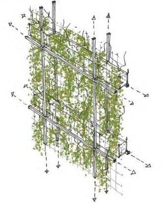 Plant Facade Architecture, Facade Planters Architecture, Green Facade Detail, Green Wall Architecture, Green Facade Architecture, Green Facade Design, Steel Frame Structure, Green Tower, Plant Structure