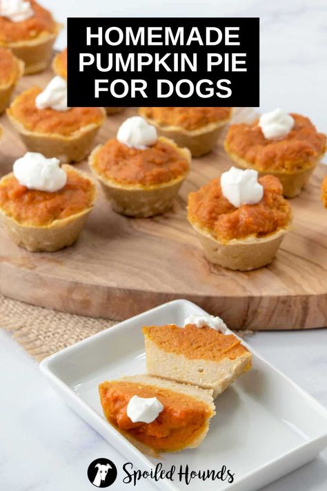 Dog Safe Pumpkin Pie, Mini Pumpkin Pie For Dogs, Pb Dog Treats Homemade, Dog Friendly Thanksgiving Food, Puppy Pumpkin Pie, Dog Apple Pie, Dog Baking Recipes, Thanksgiving Dog Treat Recipes, Dog Thanksgiving Craft