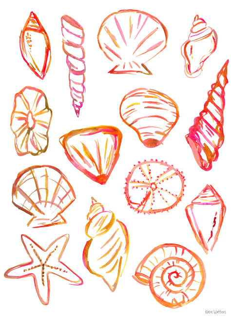 This beautiful and colorful seashell art print is reproduced from an original watercolor painting inspired by seashells found along the beach on different travels. There is an assortment of different shells painted around the page in an expressive style with bold strokes in warm colors of red, yellow, oranges and golds. The different kinds of shells include clamshells, starfish, conch, and sea urchins. Painting Of A Seashell, Simple Seashell Painting, Seashell Canvas Painting, Easy Seashell Painting, Sea Shell Watercolor Paintings, Paintings Of Seashells, How To Paint Shells, Beach Posters Prints, Shell Painting Easy