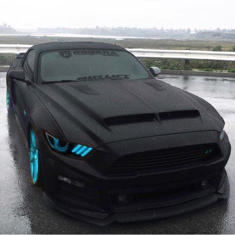 Siyah Mustang, Matte Black Cars, Black Mustang, Ford Mustang Car, Bonnie Wright, Bmw M6, Custom Muscle Cars, Mustang Cars, Best Luxury Cars