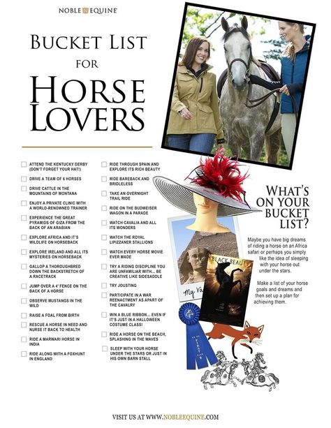 Horse Info, Rose Parade, Horse Tips, Horse Diy, Fox Hunting, Horse World, Horse Quotes, All The Pretty Horses, Horse Crazy