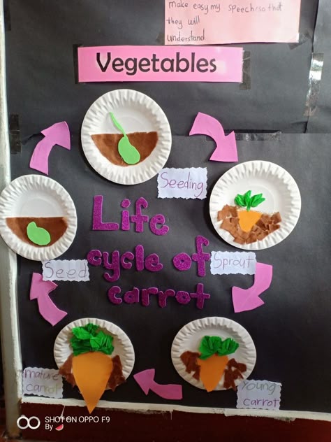 Vegetable Science Preschool, Life Cycle Of A Plant Craft, Life Cycle Activities For Preschoolers, Carrot Activities For Preschool, Vegetable Art And Craft, Vegetables Activities For Preschool, Vegetables Activities For Kids, Plant Life Cycle Project, Vegetable Activity For Kids