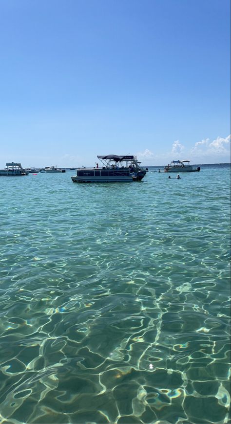 Crab Island, I Love The Beach, Destin Florida, Crab, Florida, Collage, Water, Pins, Quick Saves