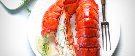 Sandwich Blt, Steamed Lobster, Frozen Lobster, Lobster Dinner, Crab Boil, How To Cook Lobster, Lobster Meat, Frozen Seafood, Lobster Recipes