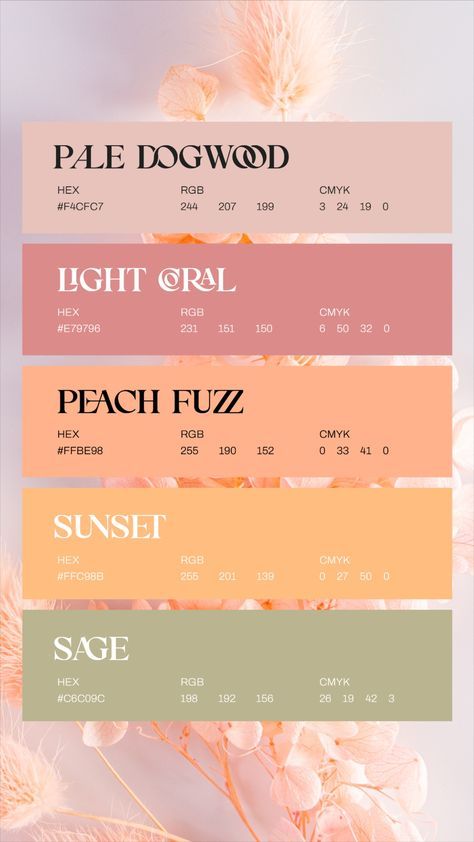 Color Palette Ethereal, Soothing Color Pallets, Cocoa Brown Color Palette, Macaroon Color Palette, Prettiest Color Palette, Coral Peach Color Palette, Peach Colour Scheme, 15 Color Palette, Energizing Color Palettes