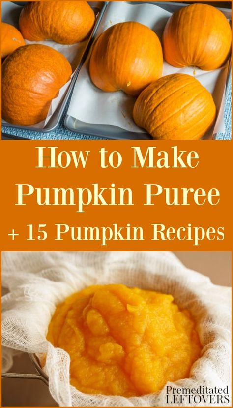 These pumpkin recipes include everything from breakfast to dessert, plus instruction on how to make pumpkin puree at home. Pumpkin puree can be used in pumpkin bread, pumpkin cake, pumpkin pie, and more Thanksgiving recipes. Check out the recipes for a unique pumpkin recipe idea. Pumpkin Pie Puree, Fresh Pumpkin Recipes, Make Pumpkin Puree, Pumpkin Puree Recipes, Cooking Pumpkin, Homemade Pumpkin Puree, How To Make Pumpkin, Roast Pumpkin, Pumpkin Pie Recipes