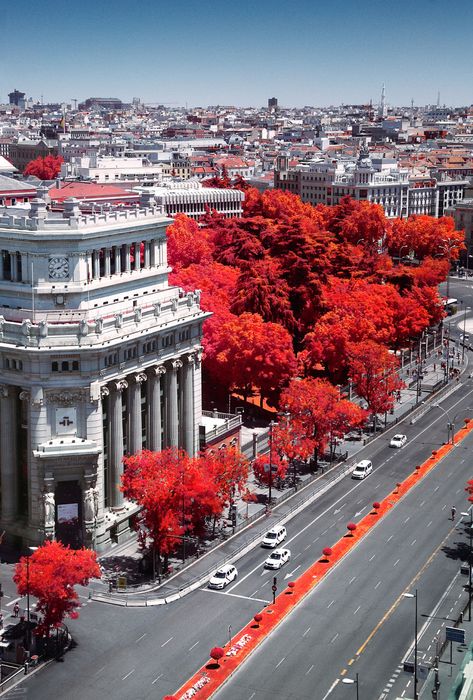 I Use Infrared Photography To Show The Beauty Of Madrid (22 Pics) Ir Photography, Infrared Photography, Red Photography, Beautiful Landscape Photography, Advertising Design, Surreal Art, Beautiful Landscapes, Art Wallpaper, Photography Inspiration