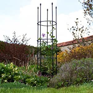 Metal Obelisk, Cheap Garden Sheds, Peony Support, Garden Plant Supports, Plant Cages, Climbing Flowers, Garden Obelisk, Plastic Sheds, Outdoor Climbing