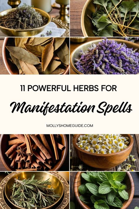 Enhance your herbal rituals with the power of magical herbs for manifestation spells. Explore a variety of spell ingredients perfect for prosperity, happiness, insight, banishing, love, healing, success, and protection. Learn about the properties of herbs and how to incorporate them into your manifestation rituals effortlessly. From simple tea magick to creating powerful spell jars, discover how these herbal allies can amplify your witchcraft practices. Herbs For Manifestation, Tea Magick, Properties Of Herbs, Manifestation Rituals, Spell Ingredients, Manifestation Spells, Spell Jars, Attraction Spell, Magical Herbs