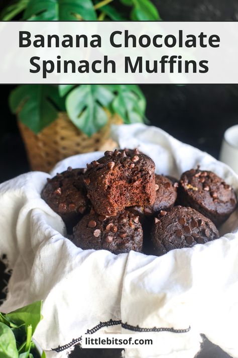 Banana Chocolate Spinach Muffins - Little Bits of... Spinach Chocolate Chip Muffins, Chocolate Spinach Muffins, Banana Chip Muffins, Paleo Blueberry Muffins, Spinach Muffins, Double Chocolate Muffins, Chocolate Banana Muffins, Banana Chocolate Chip Muffins, Banana Oats