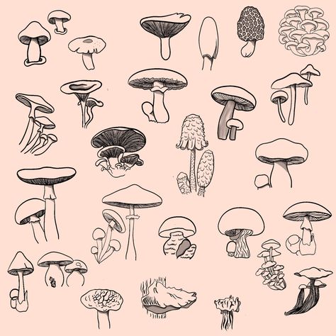 Mushroom Tattoo Flash, Mushroom Flash Tattoo, Mushroom Flash, Mushroom Tattoo, Mushroom Tattoos, Flash Tattoo Designs, Tattoo Flash Sheet, Original Tattoos, Cowgirl Art