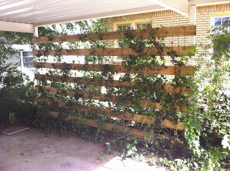 Carport Privacy, Doodle House, Carport Makeover, Carport Ideas, Diy Carport, Carport Garage, Pallet House, Carport Designs, Backyard Privacy