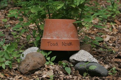 DIY Toad Abode - Houston Arboretum & Nature Center Diy Toad House, Toad Abode, Houston Arboretum, Toad House, Habitat Garden, Arbour Day, Wildlife Gardening, Greenhouse Gardening, Nature Center