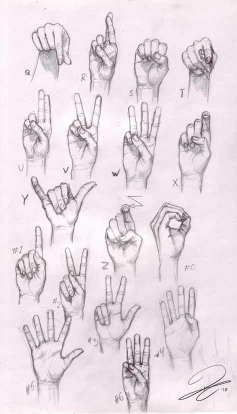 Arte Doodle, Draw Hands, Drawing Hands, Hand Gestures, Hand Drawing Reference, Anatomy Sketches, Drawing Faces, Hand Reference, Anatomy Drawing