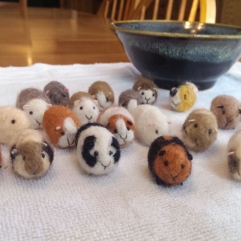 Needle Felting Ideas, Guinea Pig Diy, Pig Crafts, Needle Felting Diy, Wool Felt Projects, Felting Ideas, Pocket Pet, Wool Animals, Needle Felting Tutorials