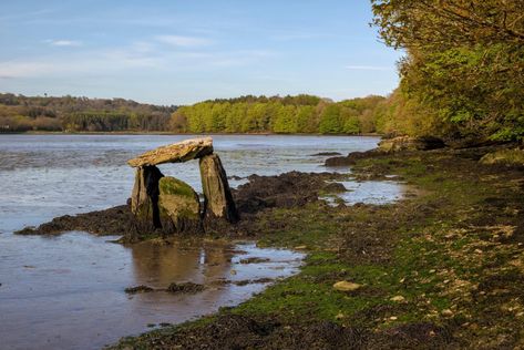 Partially submerged structure is a prehistoric tomb - HeritageDaily - Archaeology News Medieval Tower, Southern Ireland, Uk Beaches, University Of Manchester, County Cork, Archaeology News, Irish Culture, Republic Of Ireland, Eastern Shore