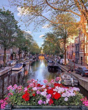 To learn about the most Instagrammable places in Amsterdam, the Netherlands, to land your best Instagram pictures, be sure to read on.  #travel #travelguide #travel2020 #travelitaly #traveltheworld #worldtravel #travelgoals #travelbucketlist #bucketlist #travelitinerary #thingstodo #bestplaces #travellist Netherlands Travel, Amsterdam Travel, Instagrammable Places, Destination Voyage, Dream Travel Destinations, Beautiful Places In The World, Beautiful Places To Travel, Elba, Travel Inspo