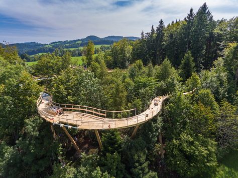 Switzerland gets its first treetop canopy walkway - Lonely Planet Treetop Walkway, Canopy Walkway, Sky Walk, St. Gallen, Parc D'attraction, Pedestrian Bridge, Bridge Design, Forest Park, Amazing Travel