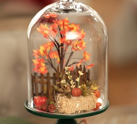 Your Scenes Under Glass Pedestal & Dome Glass Dome Fall Decor, Fall Cloches Decor Ideas, What To Put Under A Cloche Glass Domes, Glass Dome Display Ideas, Dome Display Ideas, Halloween Dome Display, Autumn Cloche Ideas, High Cloche Dome Ideas, Cloche Dome Ideas