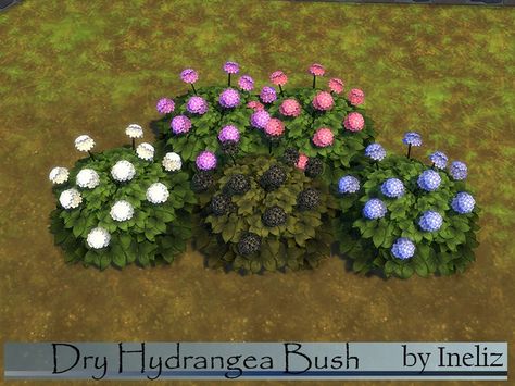 Ineliz's Dry Hydrangea Bush Hydrangea Landscaping, Bush Plant, Crepe Myrtle, Hydrangea Bush, Dried Hydrangeas, Dry Garden, Sims 4 House Design, Outdoor Flowers, Sims 4 Toddler