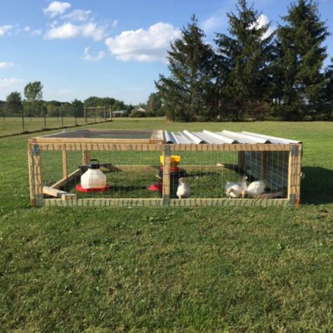 Raising Meat Chickens in a Chicken Tractor | Meyer Hatchery Blog Chicken Tractor Pallets, Chicken Tractor Designs, Meat Chicken Pen, Pallet Chicken Tractor, Chicken Tractor For Meat Birds, Meat Bird Chicken Tractor, Small Chicken Tractor, Meat Chicken Tractor, Chicken Homesteading