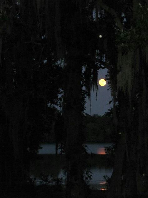 Moonlit Lake, Lake At Night, Lake Night, Enchanted Lake, Mind Blowing Images, Big Moon, Water Aesthetic, Florida Photography, Garden Drawing