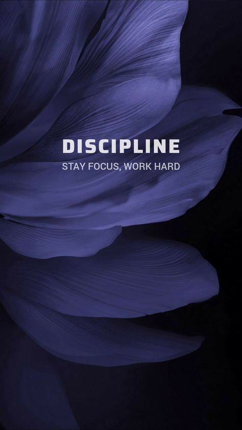 Discipline. Stay focus, work hard Focus Consistency Discipline, Stay Disciplined Wallpaper, Decipline Wallpaper Hd, Discipline Aesthetic Wallpaper, Focus On Yourself Wallpaper, Discipline Pictures, Discipline Quotes Aesthetic, Motivation Discipline Wallpaper, Study Focus Wallpaper