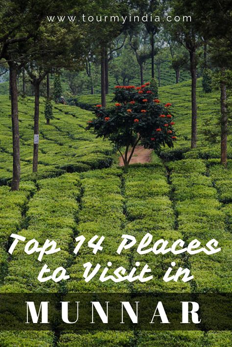 Check the list of Top 14 Places to Visit & Things to Do in Munnar Kerala Tourism Places To Visit, Kerala Munnar, Travel Kerala, Kerala Trip, Munnar Kerala, Travel India Beautiful Places, Kerala Tour, Beautiful Vacation Spots, Travel Destinations In India