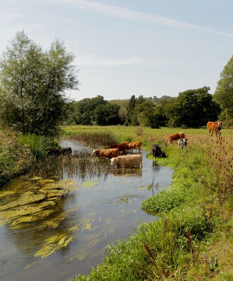 Reses tomando agua Landscape Photography Tips, Country Scenes, Country Side, Rural Life, English Countryside, Alam Yang Indah, Landscape Photos, Country Life, Farm Life