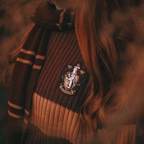 Gryffindor Girl Aesthetic, Rose Granger Weasley, Gryffindor Uniform, Gryffindor Pride, Hogwarts Uniform, Weasley Aesthetic, Gryffindor Aesthetic, Images Harry Potter, Hogwarts Aesthetic