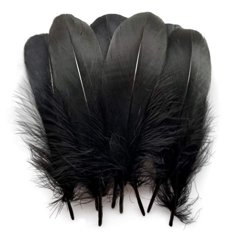 PRICES MAY VARY. use for craft and clothing home, wedding,party decorations High quality beautiful dyeing of natural feathers Length:opprox. 15-20cm/6-8" Great for all types of crafts,trimming,parties costumes,home decorations,or wedding decorations. Material:goose feathers. Crow Feathers, Goose Craft, Crow Costume, Accessories Pack, Cultural Dance, Black Arts, Metallic Gold Color, Feather Dream Catcher, Feather Crafts