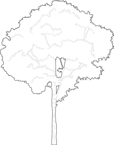 Trees cad blocks Croquis, Tree Cad Block, Autocad Trees, Line Drawing Tree, Tree Dwg, Bush Drawing, Tree Line Drawing, Tree Architecture, Trees Drawing